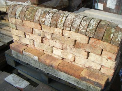 Reclaimed Coping bricks
