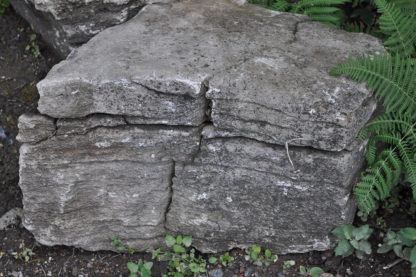 Perbeck Rockery Stone