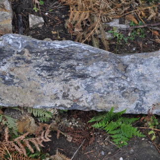 Mendip Rockery Stone