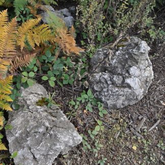 Water Worn Stone - Type Unknown