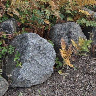 Large Boulders – Type Unknown