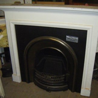 Fire Insert and Surround