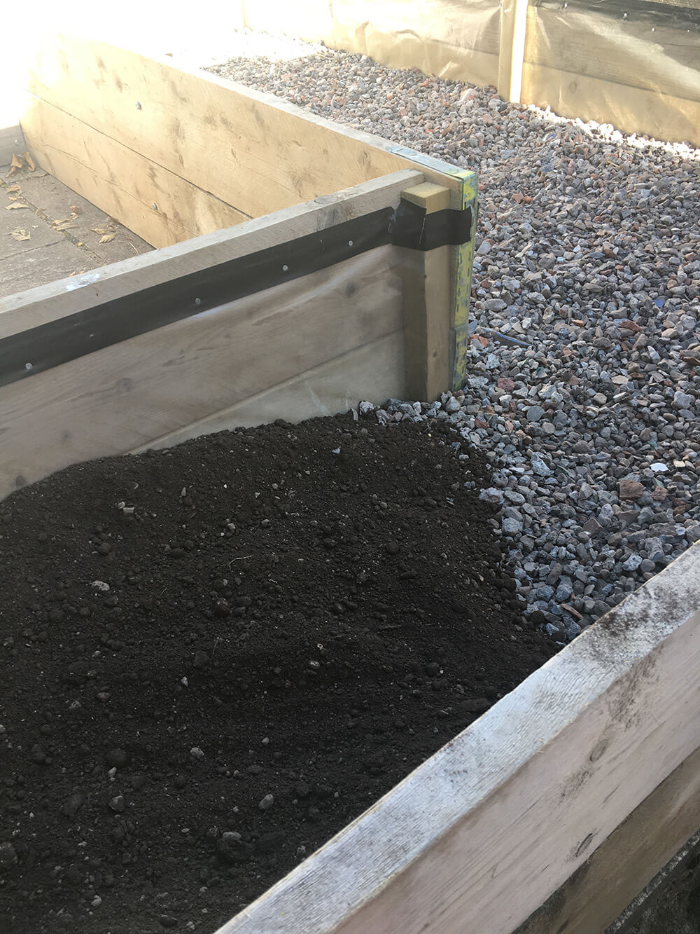 raised bed 2