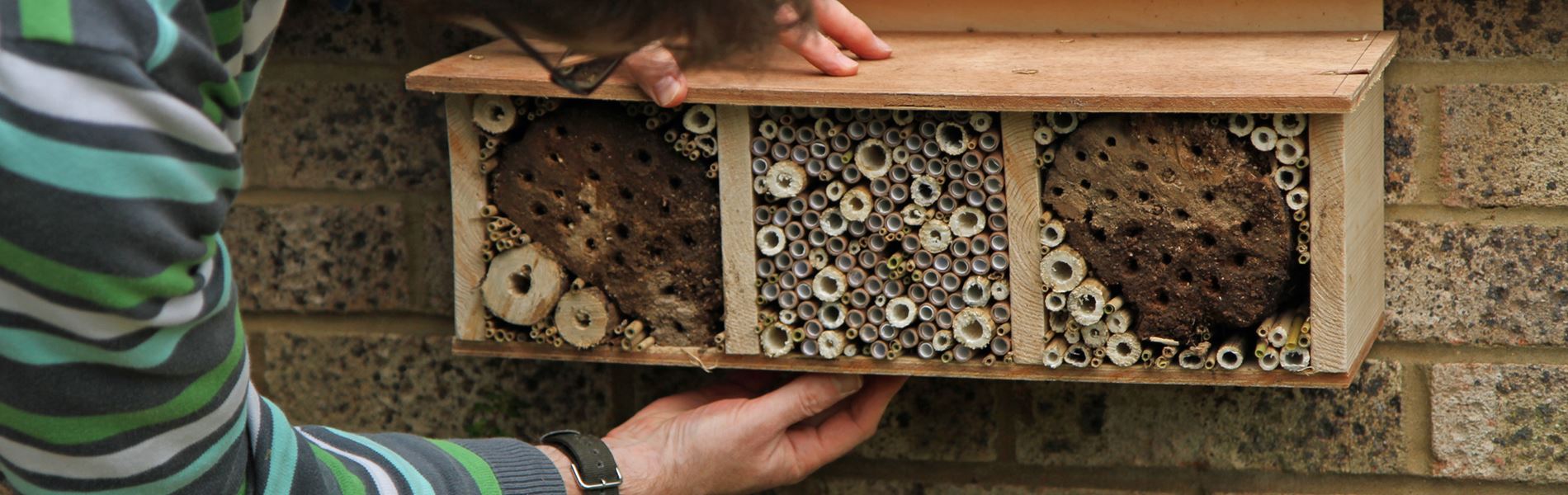 Bee Hotel